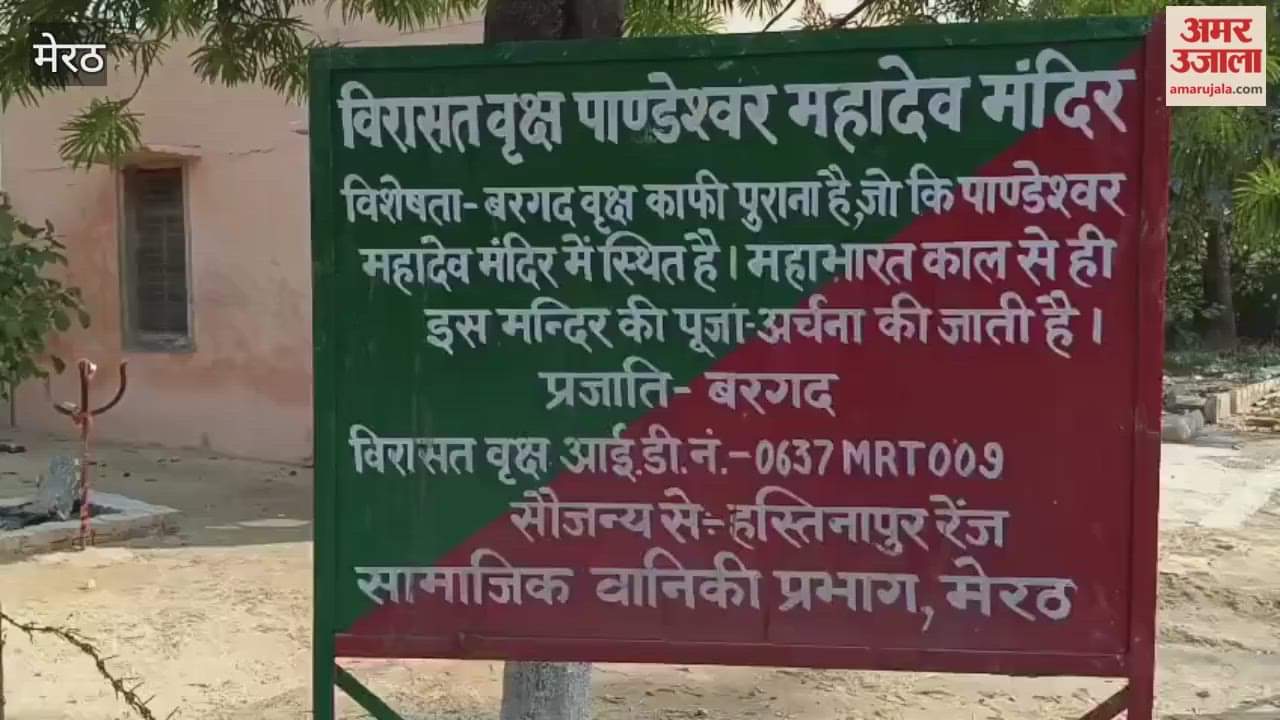 Meerut: Tourists visit the ancient Pandeshwar Mahadev temple in Hastinapur to see the heritage tree from the Mahabharata period