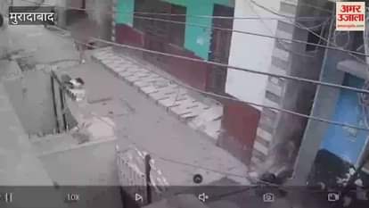 A minor eighth-grade student was returning home when 43-year-old Ibrahim committed a lewd act