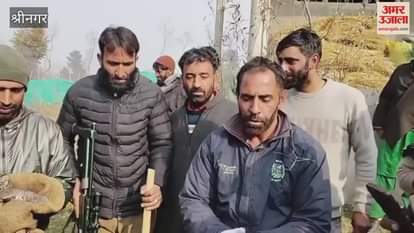 Leopard Cubs Safely Captured in Sedow Shopian Wildlife Teams on High Alert