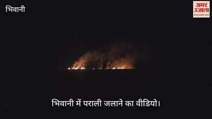 Video of stubble burning in Bhiwani