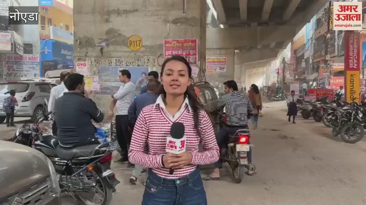 Problems still persist after Bhangel elevated road trial began
