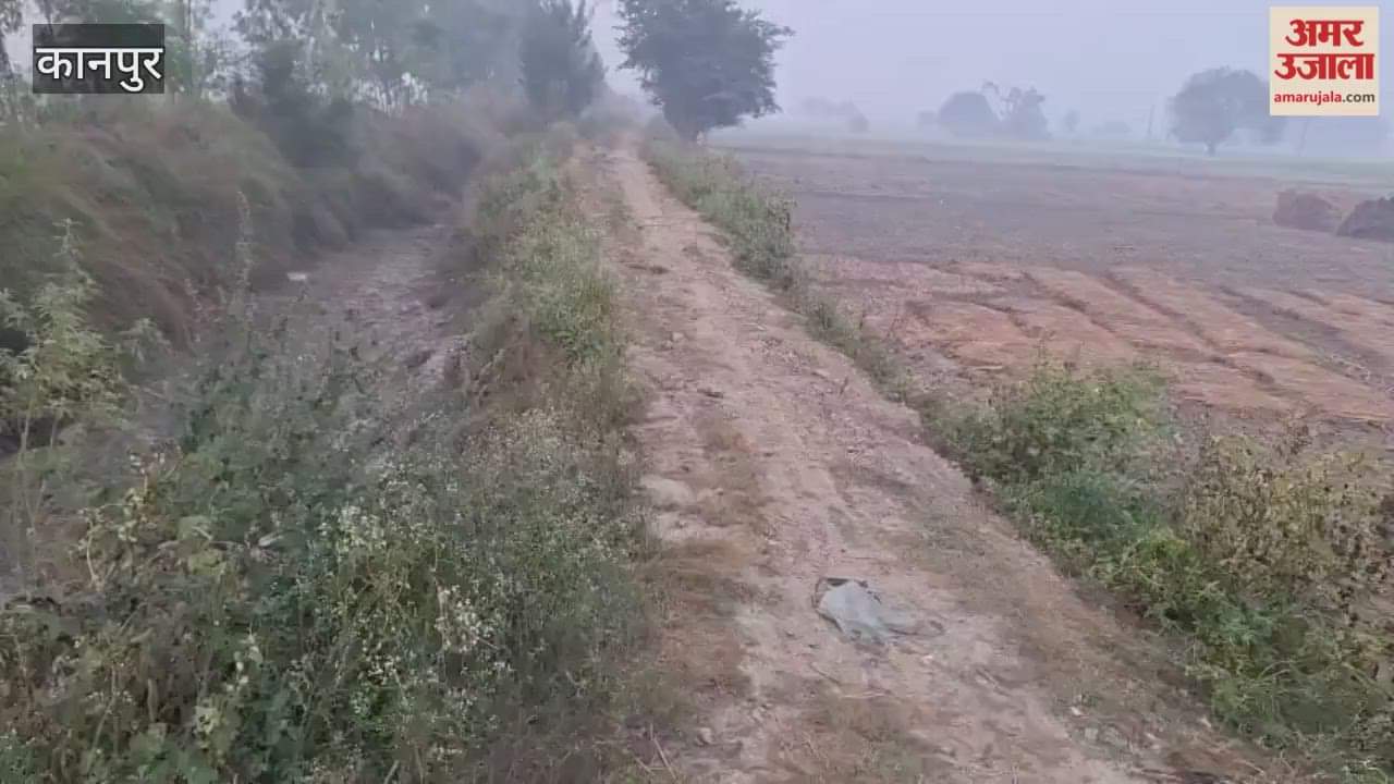 Bambi's trail has become a bund, causing problems for farmers