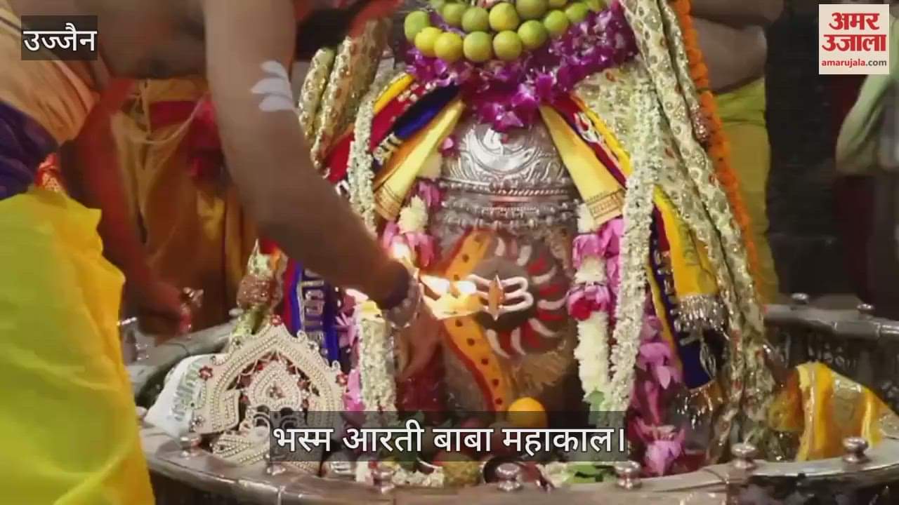 Ujjain News: On Amavasya, Mahakal adorned in special Bhasma Aarti; TMKOC fame Tapu also offered prayers
