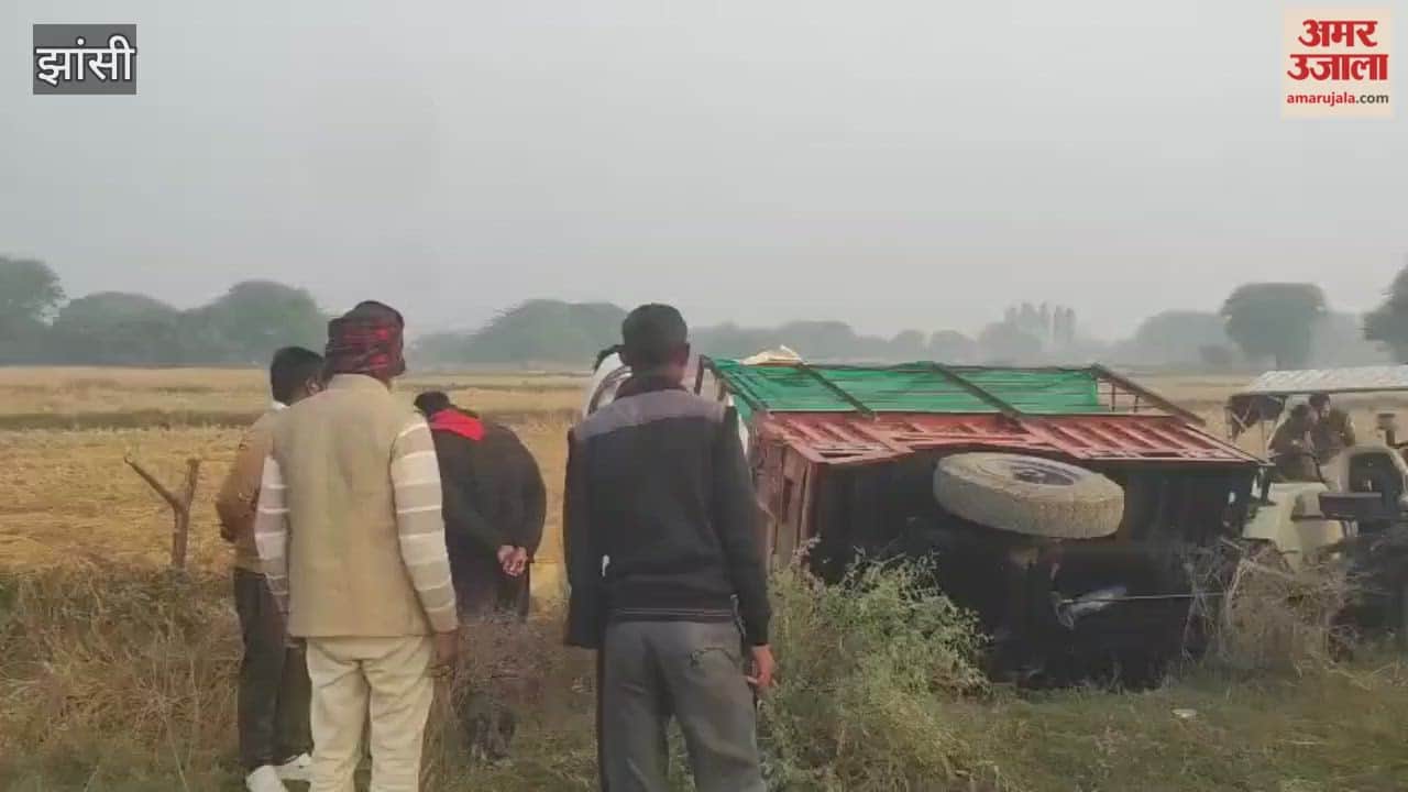 Video: Farmer dies after being hit by an overturned tractor-trolley carrying paddy.