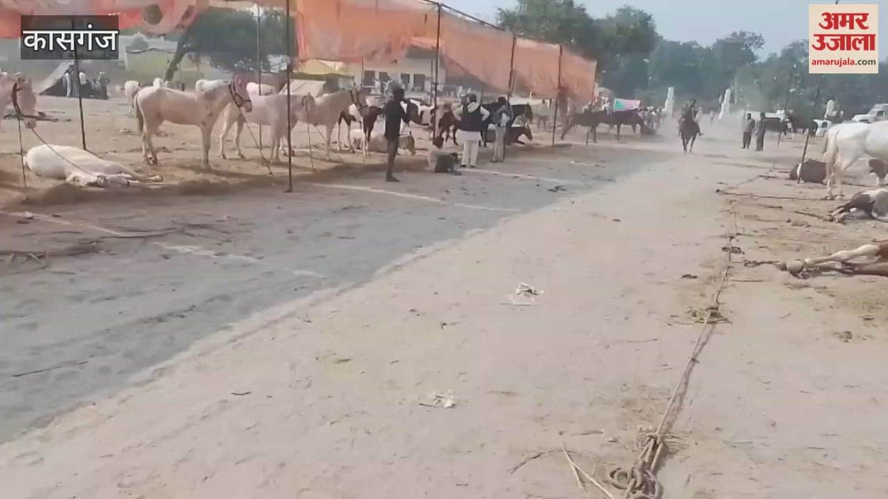 106-Year-Old Shivraj Cattle Fair to Begin on 22 November Thrilling Horse Shows Draw Huge Crowds