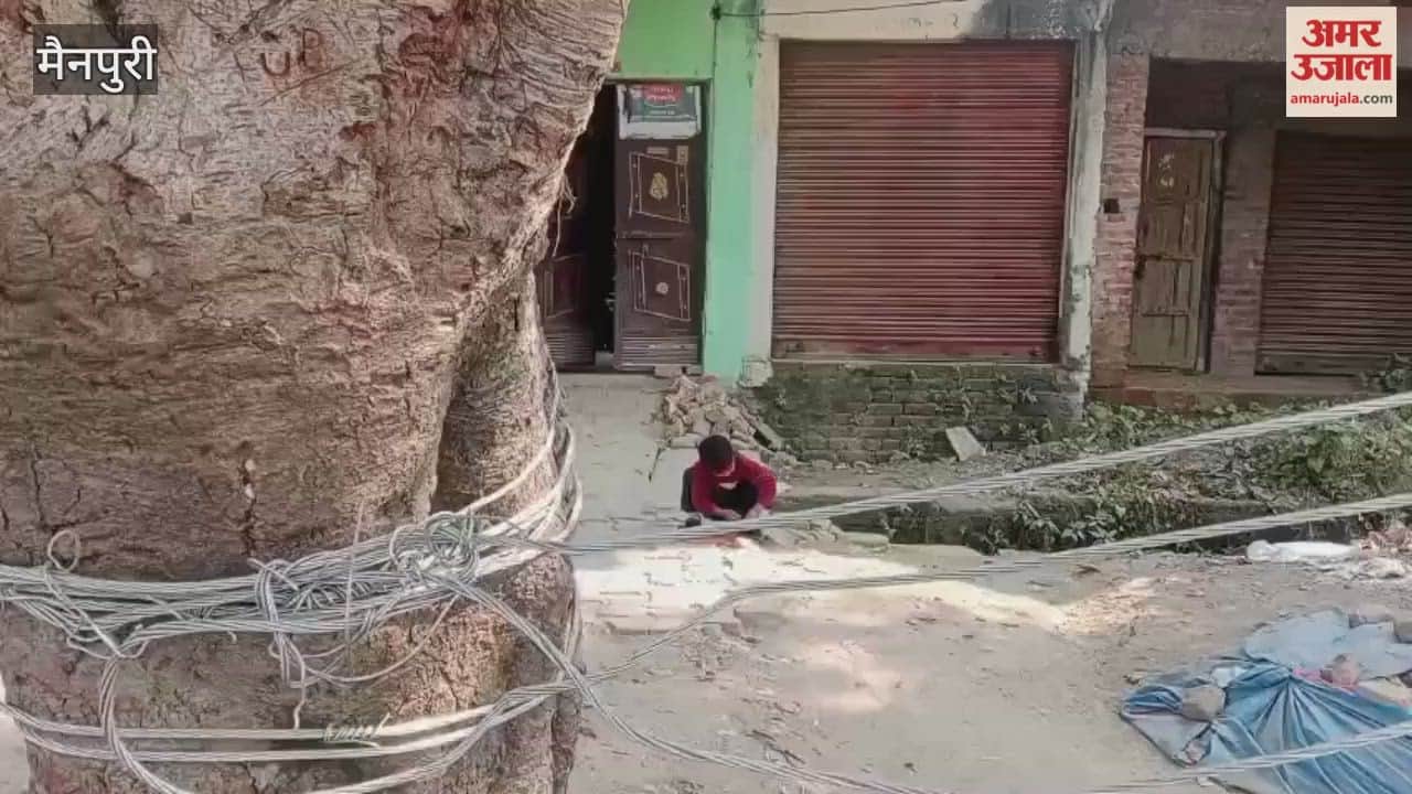 Major Negligence on Devi Road: Broken Power Line Tied to Tree Residents Fear Serious Risk