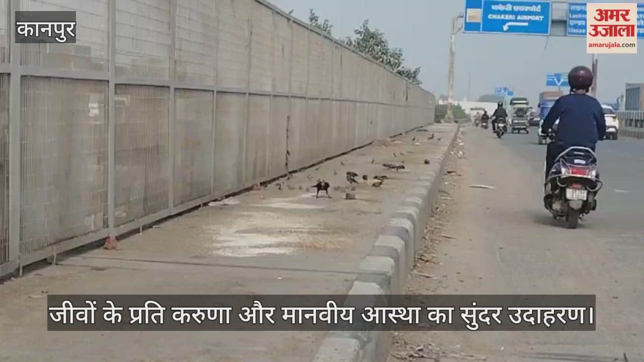 कानपुर: रामादेवी फ्लाईओवर पर दिखी अनूठी आस्था, राहगीर कौओं और चिड़ियों के लिए डालते हैं दाल-चावल