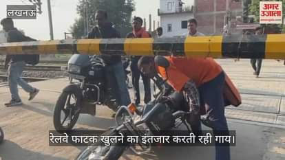 VIDEO: रेलवे फाटक खुलने का इंतजार करती रही गाय... लोग नीचे से निकले, देखें - रोचक वीडियो