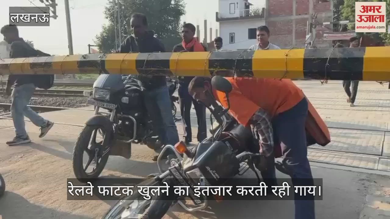 VIDEO: रेलवे फाटक खुलने का इंतजार करती रही गाय... लोग नीचे से निकले, देखें - रोचक वीडियो