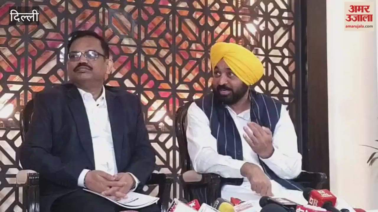 Punjab Chief Minister Bhagwant Singh Mann press conference in Delhi