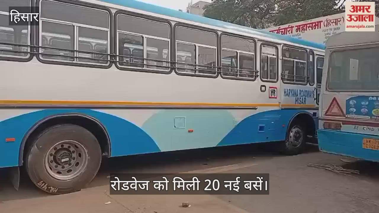 Roadways gets 20 new buses