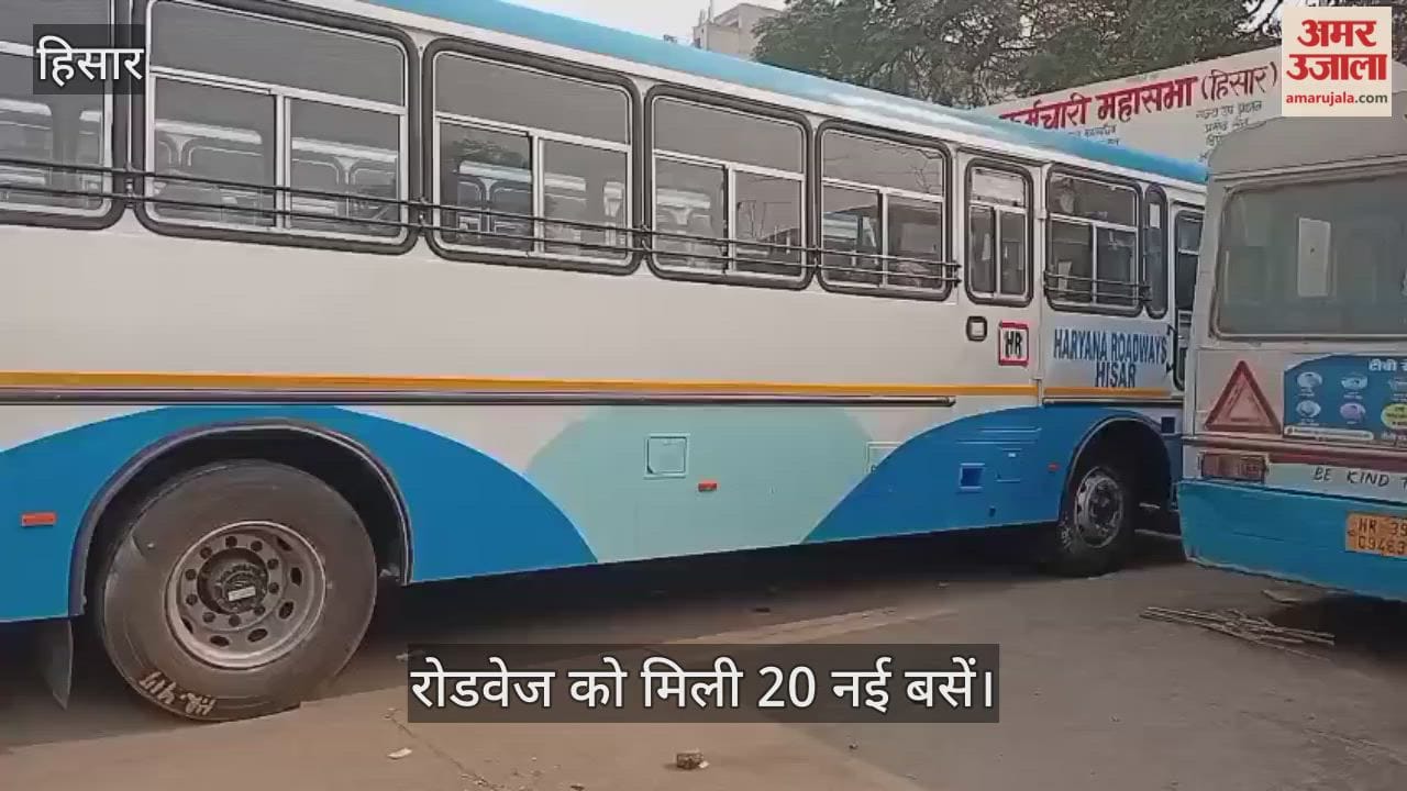 Roadways gets 20 new buses