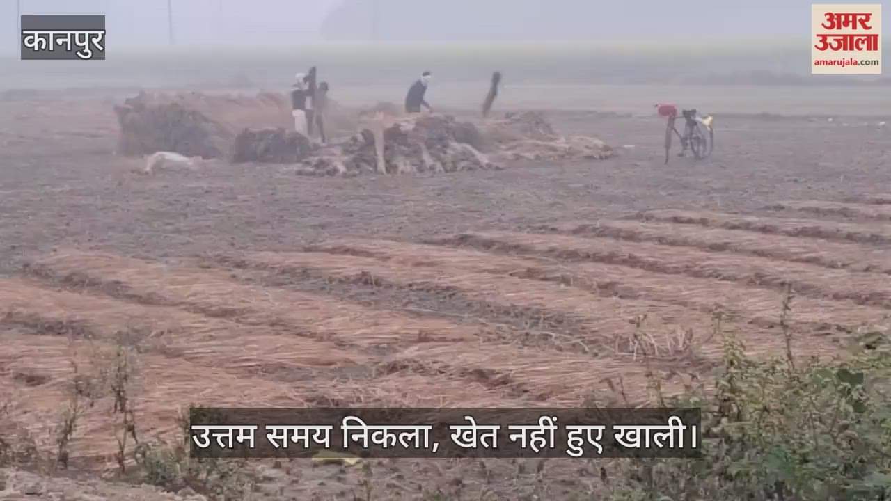 कानपुर के भीतरगांव में गेहूँ बुवाई पर संकट, धान की कटाई और कुटाई में देरी से किसान चिंतित