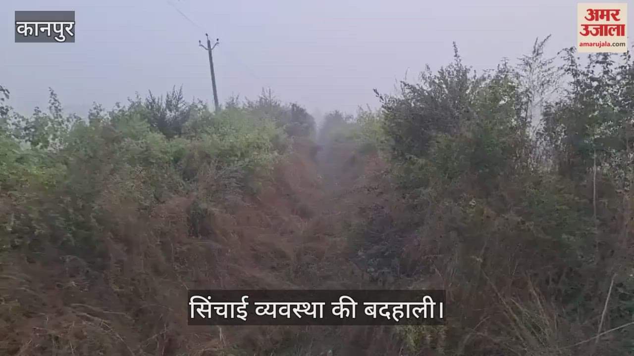 कानपुर: माइनरों की सफाई न होने से किसान परेशान, गेहूं की बुवाई का उत्तम समय बीता