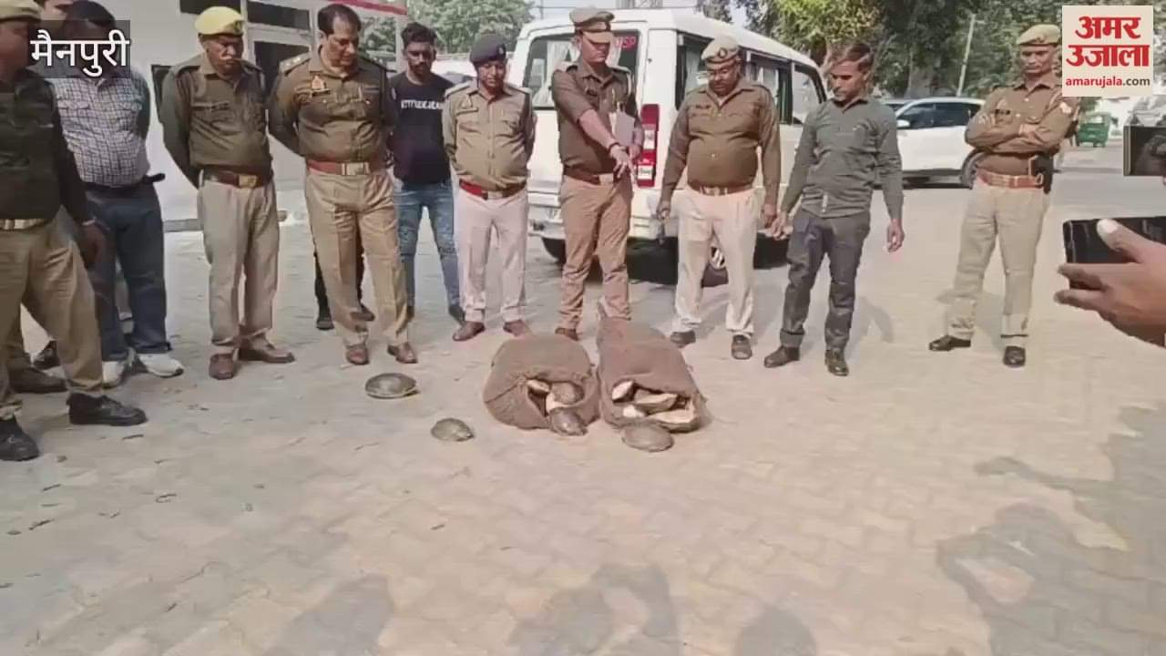 Manpuri Police Bust Turtle Smuggling Racket 76 Rescued and Two Arrested