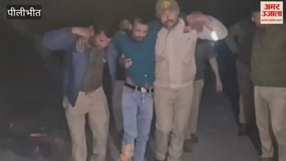 Pilibhit Police arrested a cow smuggler in an encounter