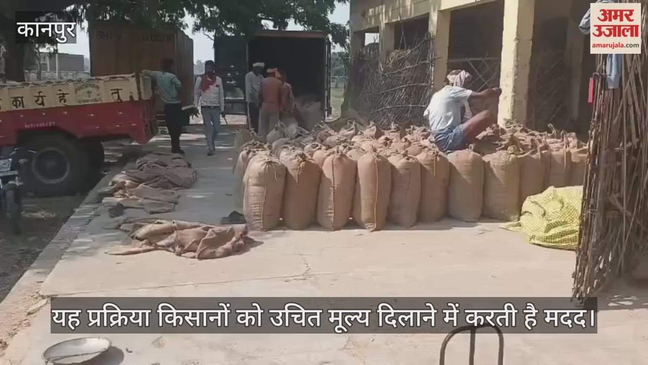 कानपुर में घाटमपुर उप मंडी स्थल पर ज्वार की खरीद जारी