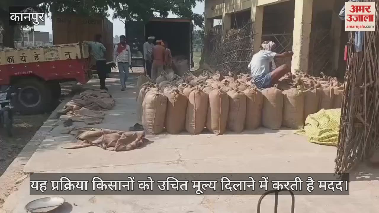 कानपुर में घाटमपुर उप मंडी स्थल पर ज्वार की खरीद जारी