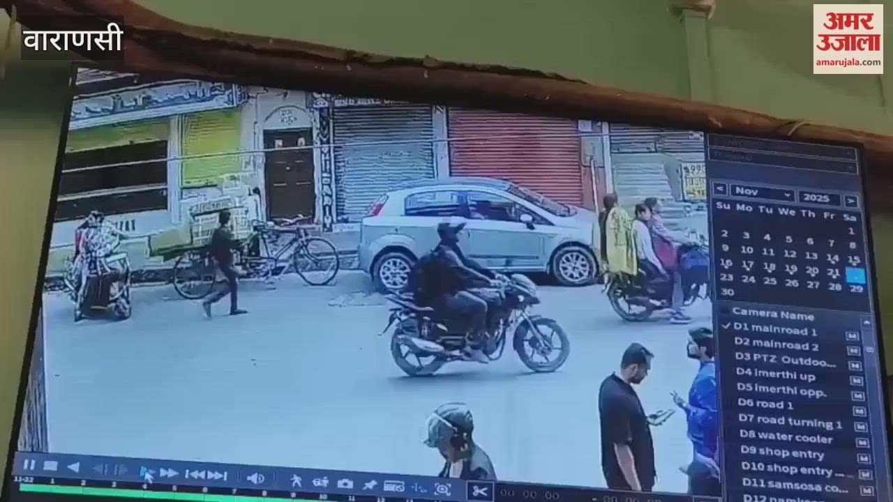 Video of theft from BHU woman professor car