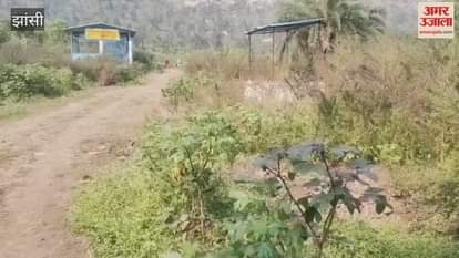 Jhansi: Video of the poor condition of village panchayat Kagar of development block Bangra