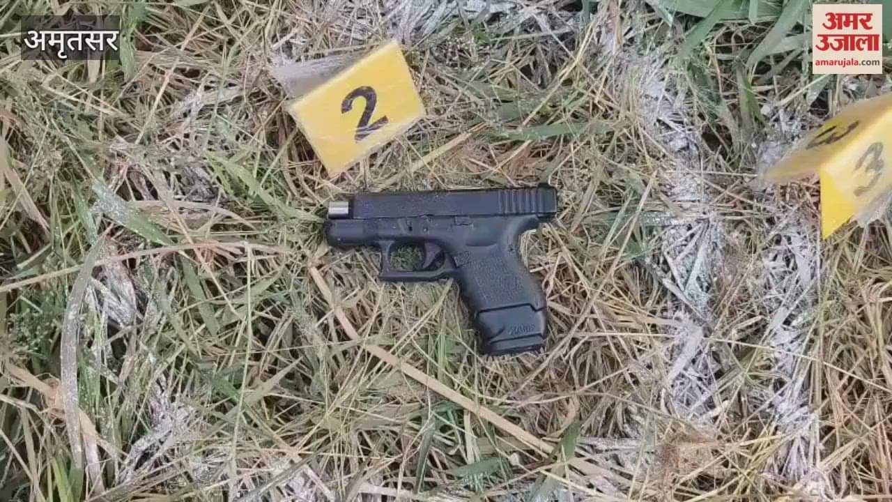 Main shooter in Chheharta murder case injured in police encounter in Amritsar