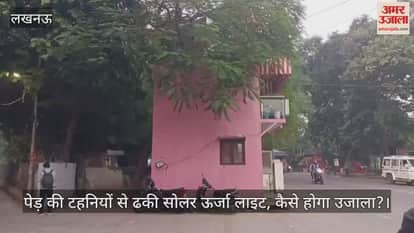 लखनऊ में पेड़ की टहनियों से ढकी सोलर ऊर्जा लाइट, कैसे होगा उजाला?