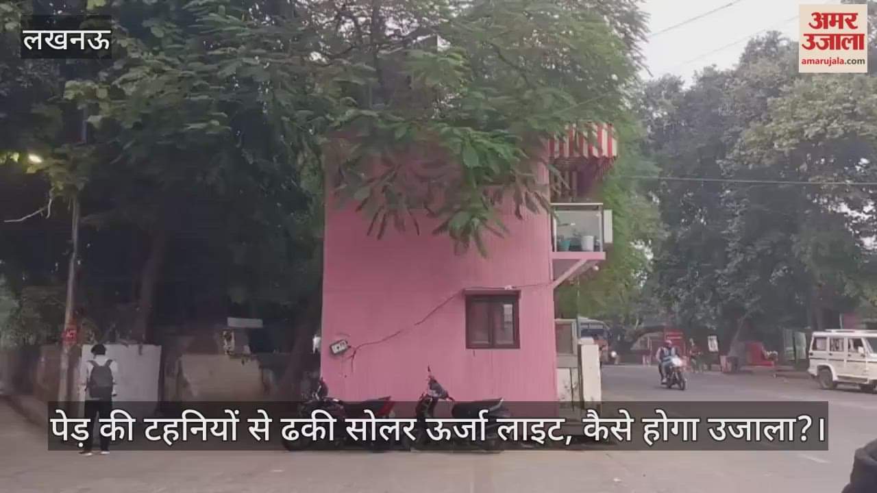 लखनऊ में पेड़ की टहनियों से ढकी सोलर ऊर्जा लाइट, कैसे होगा उजाला?