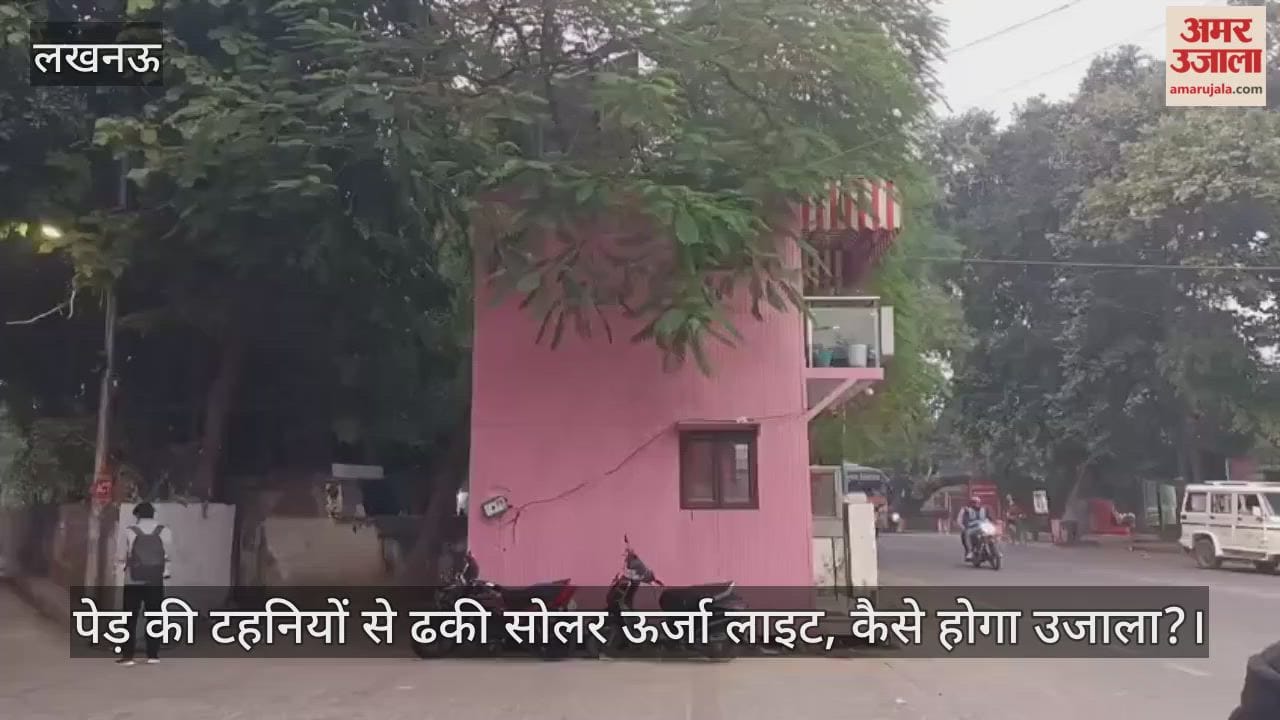 लखनऊ में पेड़ की टहनियों से ढकी सोलर ऊर्जा लाइट, कैसे होगा उजाला?
