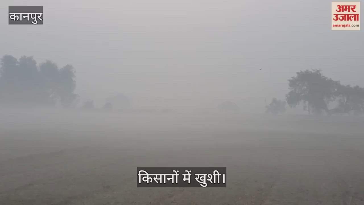 कानपुर में कोहरे की घनी चादर: तापमान घटने से गेहूं की फसल के लिए वरदान बना मौसम