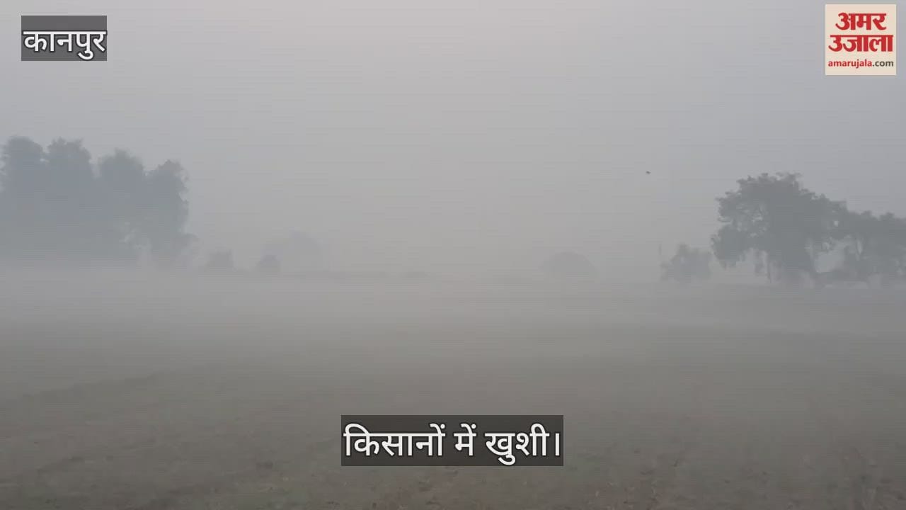 कानपुर में कोहरे की घनी चादर: तापमान घटने से गेहूं की फसल के लिए वरदान बना मौसम