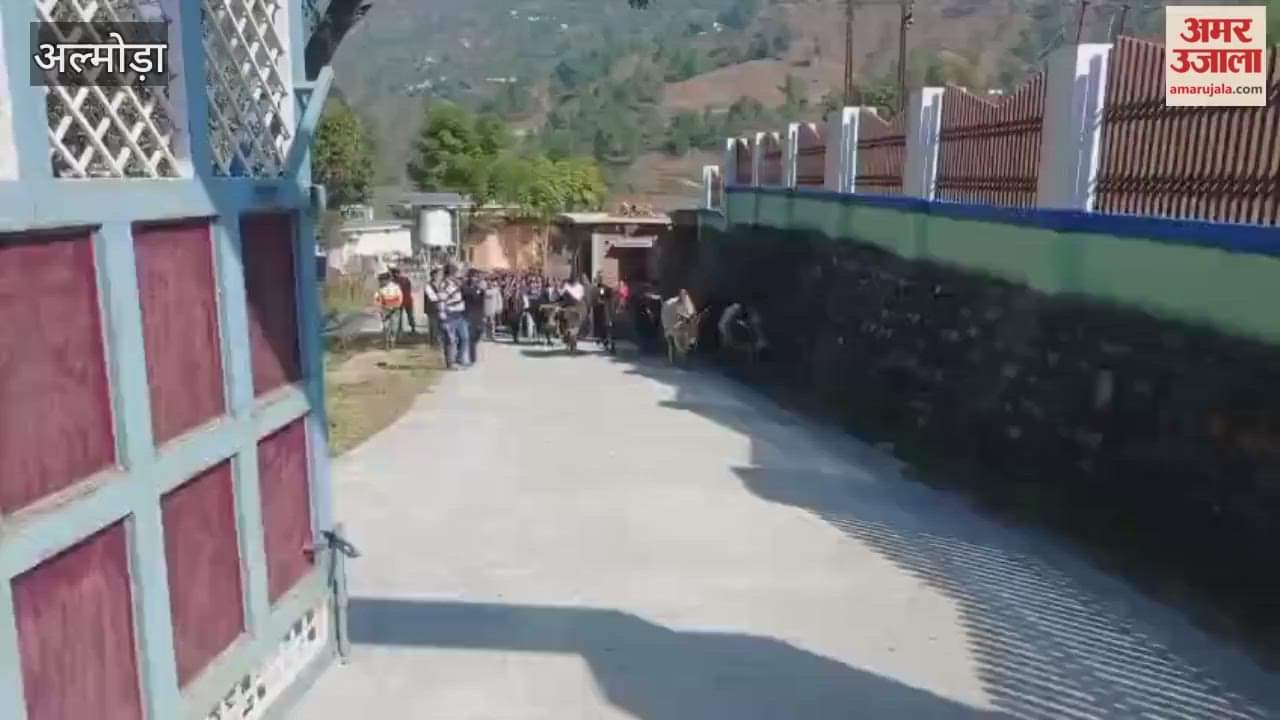 Women took to the streets to get rid of animals in almora