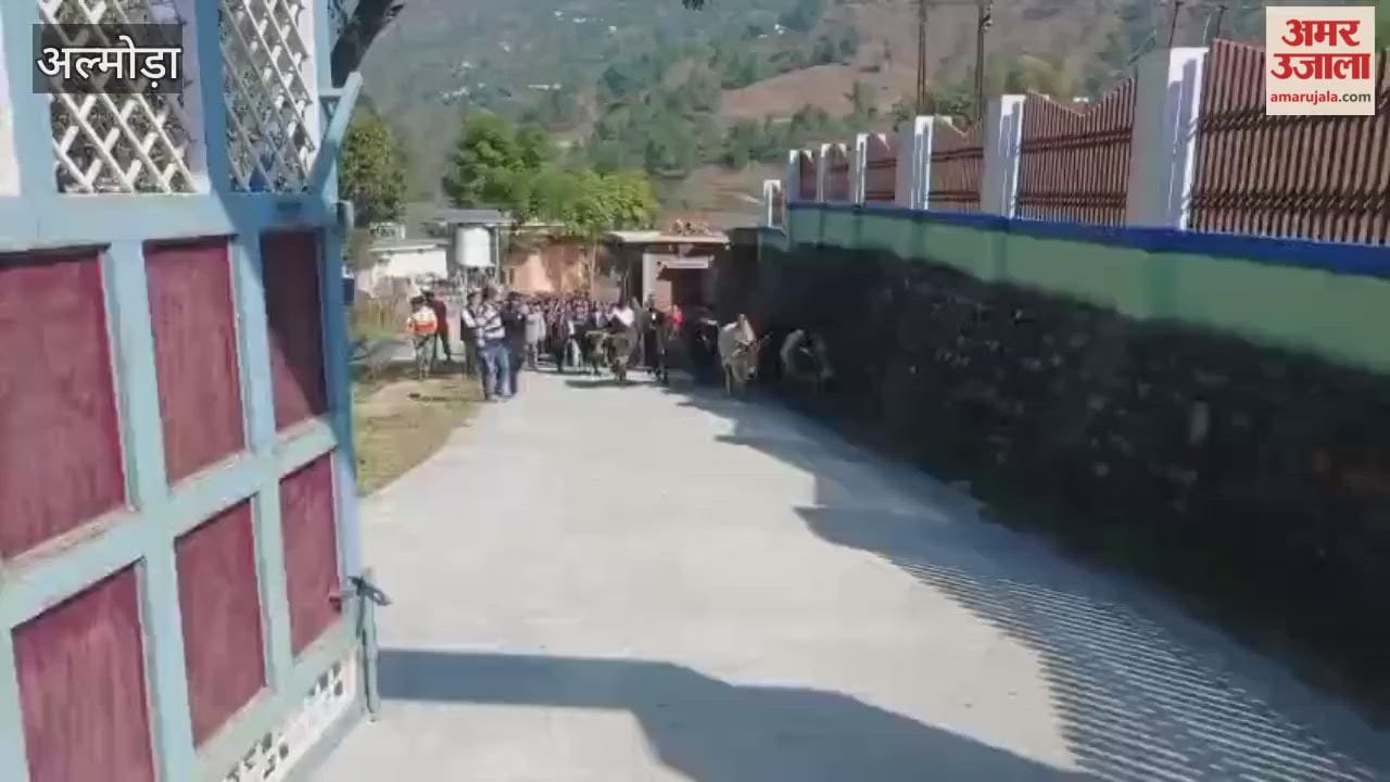 Women took to the streets to get rid of animals in almora