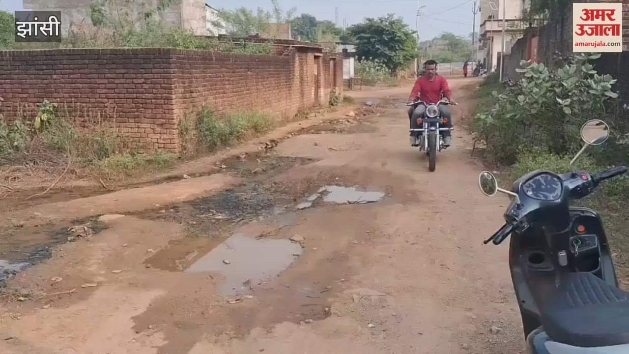 Video: झांसी नगर निगम के वार्ड 15 में न सड़क है न नाला, समस्याओं काे लेकर यह बोले पार्षद