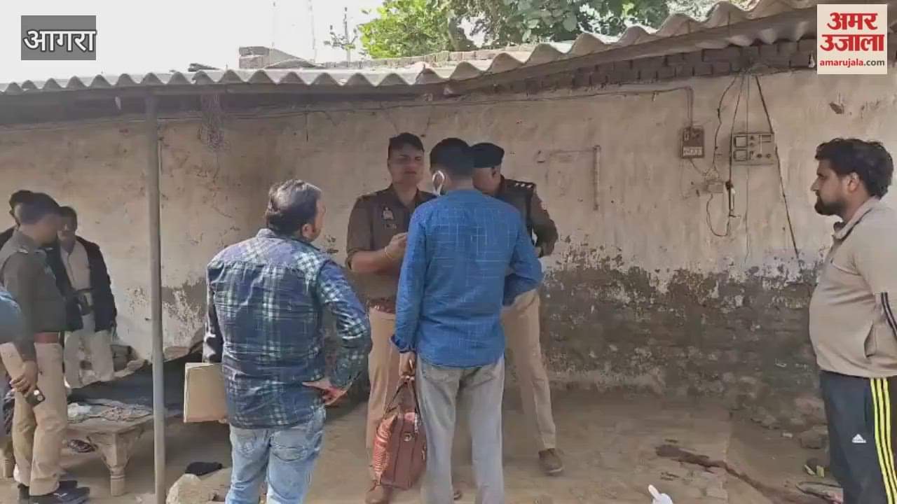 Servant Kills Elderly Woman with Sharp Weapon