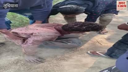 Teenager attacked with weapons in Jagraon his condition is critical