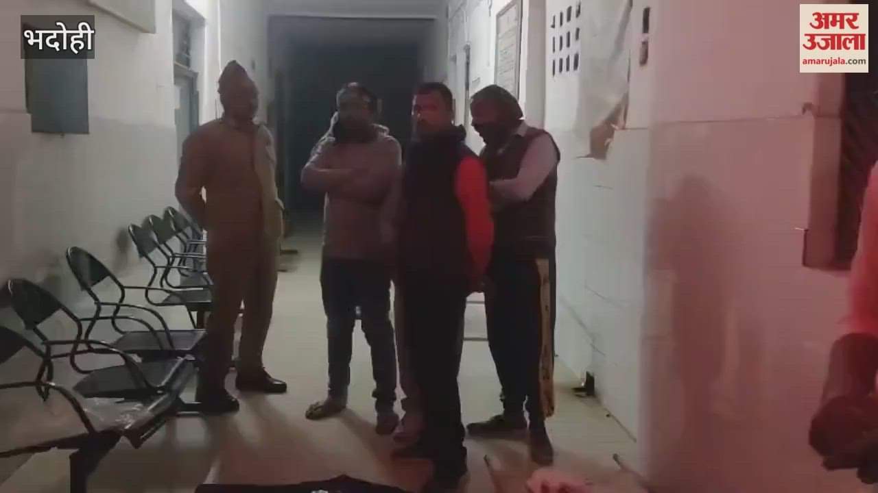 Young man dies after being hit by vehicle while crossing road