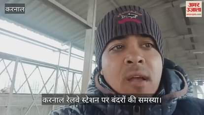 monkeys problem in Karnal Railway Station