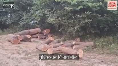 कानपुर: कोरथा गांव में हरे पेड़ों की अवैध कटान, आम और नीम काटे गए