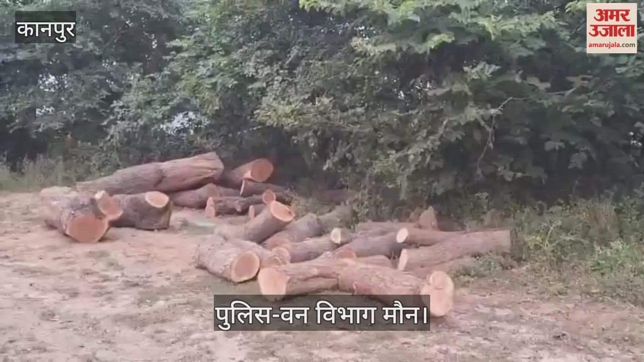 कानपुर: कोरथा गांव में हरे पेड़ों की अवैध कटान, आम और नीम काटे गए