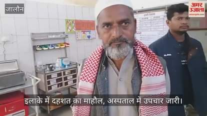 उरई: कोंच में आवारा कुत्ते का आतंक, दो मोहल्लों में 10 लोगों को काटकर घायल किया