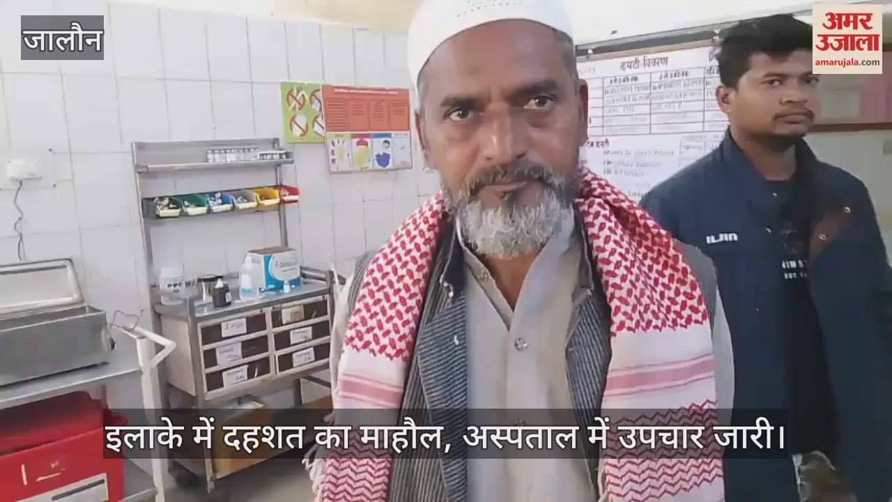 उरई: कोंच में आवारा कुत्ते का आतंक, दो मोहल्लों में 10 लोगों को काटकर घायल किया