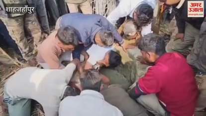 leopard fell into a well in Shahjahanpur