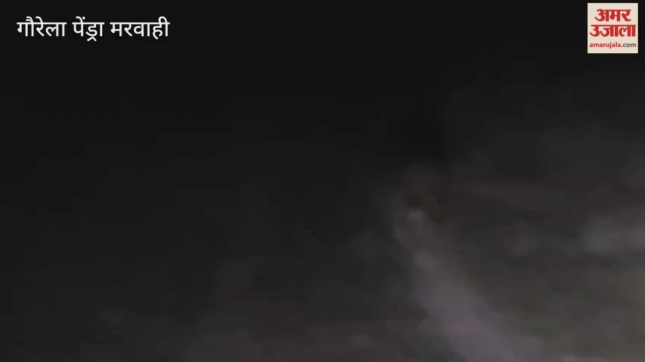 Viral Video chital strayed from the forest and reached a residential area