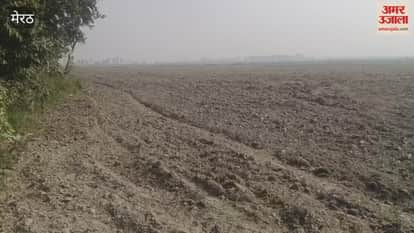 Meerut: Fodder for animals was not sown in hundreds of hectares of land.