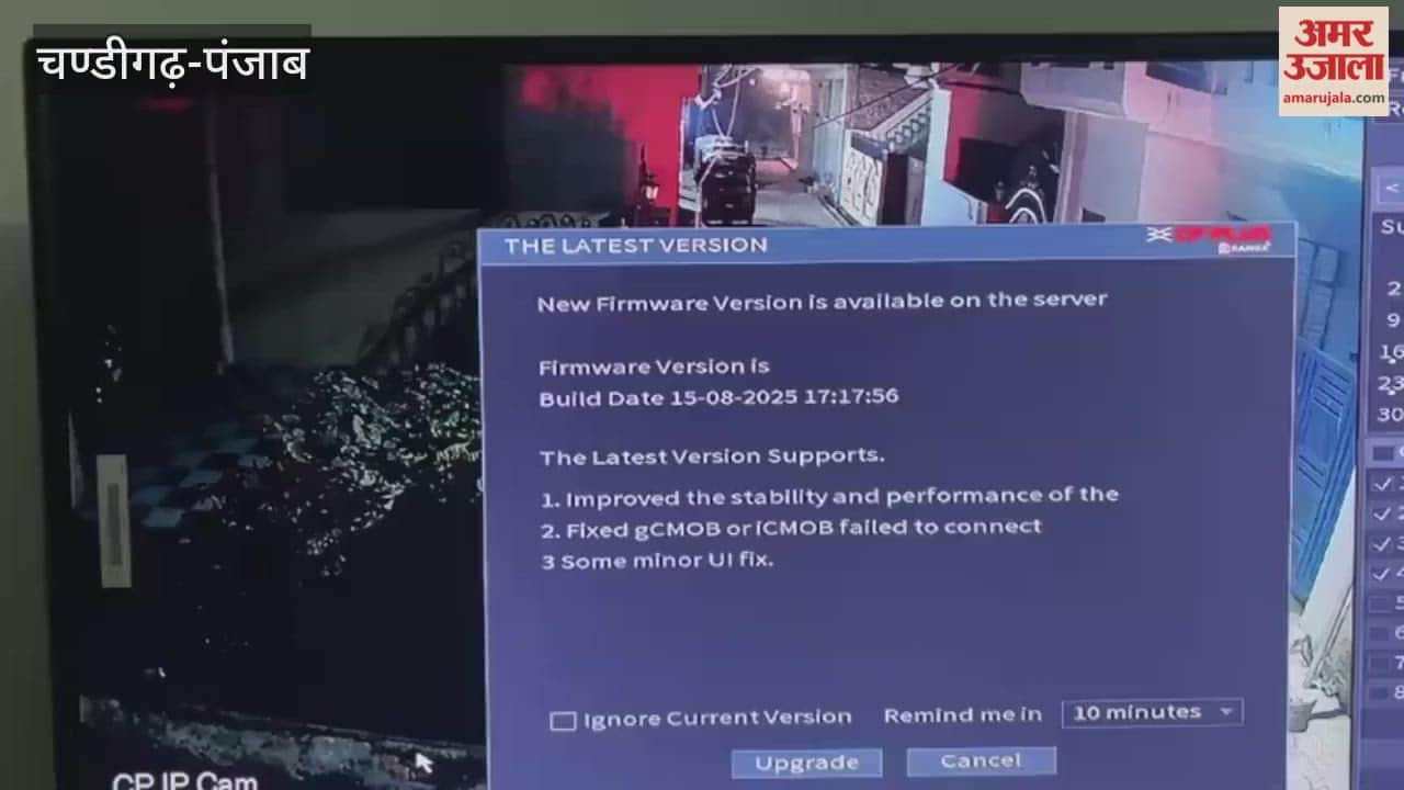 Auto theft in Pathankot in night