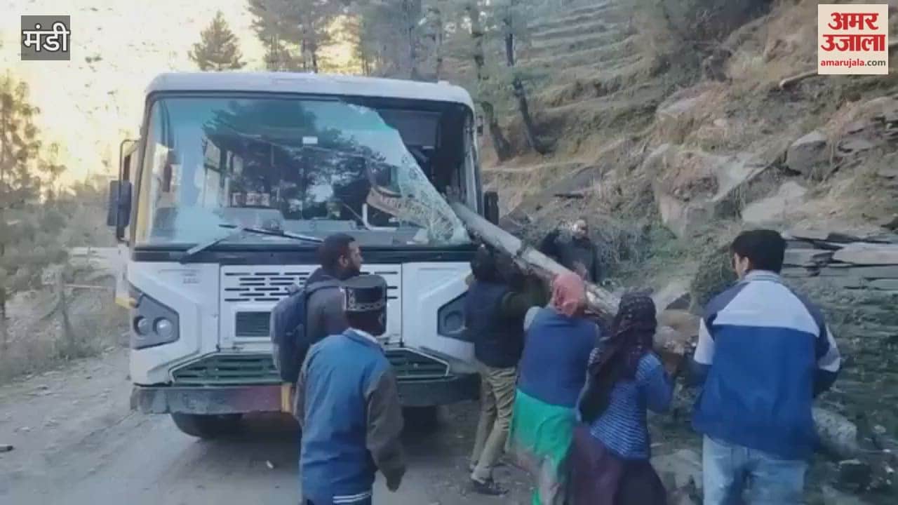 Mandi A pine tree fell on a moving HRTC bus a major accident was averted
