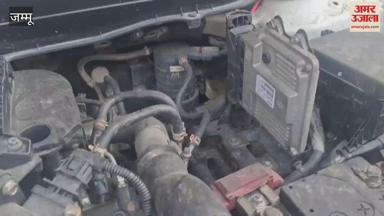 A snake entered a car in RS Pura, and the mechanic pulled it out by opening the engine.