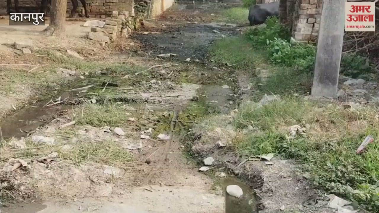 Bauhara village is overflowing with filth, several years ago there were 12 deaths from fever