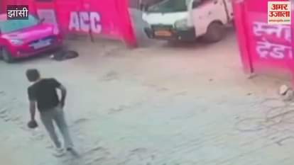 Video: Humanity shamed...Car driver brutally tramples Rottweiler dog