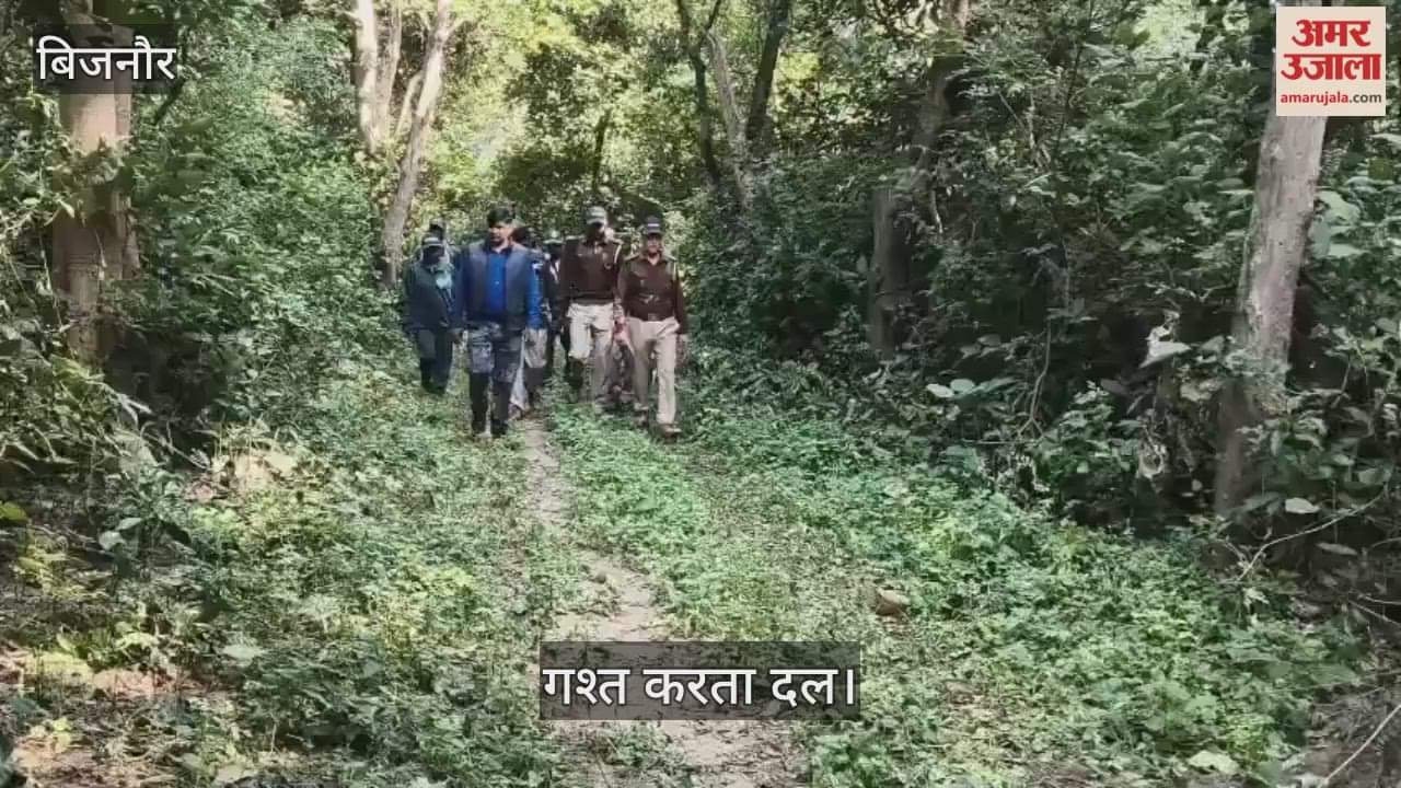 Patrol teams on alert in Corbett Tiger Reserve to prevent human-wildlife conflict